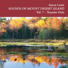 Sounds of Mount Desert Island, Vol. 7: Thunder Hole