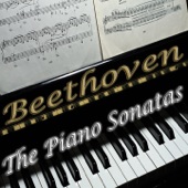 Beethoven: The Piano Sonatas artwork