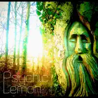 Death Cult Blues — Psychic Lemon