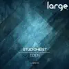 Studioheist - Chicago Thing