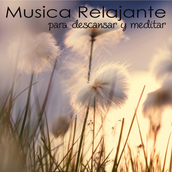 Música Relajante para Descansar y Meditar – Nueva Era y Zen para Relajar la Mente y Sanar el Alma