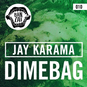 Dimebag - Single