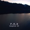 Deepark - F.E.X. lyrics