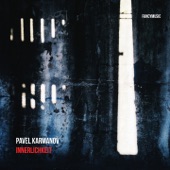Pavel Karmanov - Past Perfect