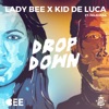 Drop Down (feat. Feliciana) - Single