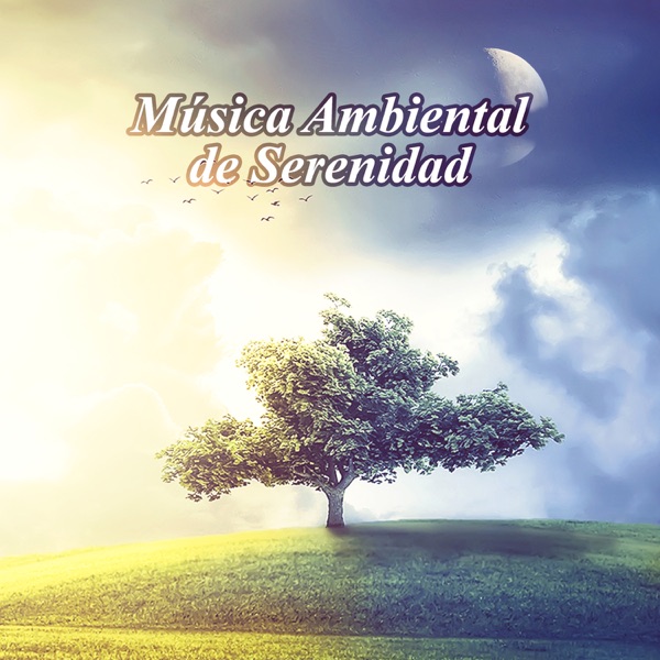 Música Ambiental de Serenidad: Musicoterapia Relajante para Meditación Budista y Reiki, Sonidos de la Naturaleza