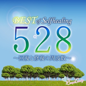 Best of Self Healing Five Hundred Twenty Eight  Frequency of Recovery And Repair