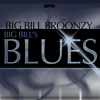 Big Bill's Guitar Blues - Big Bill Broonzy