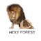 Make Music (feat. Morley & Youssoupha Sidibe) - Holy Forest lyrics