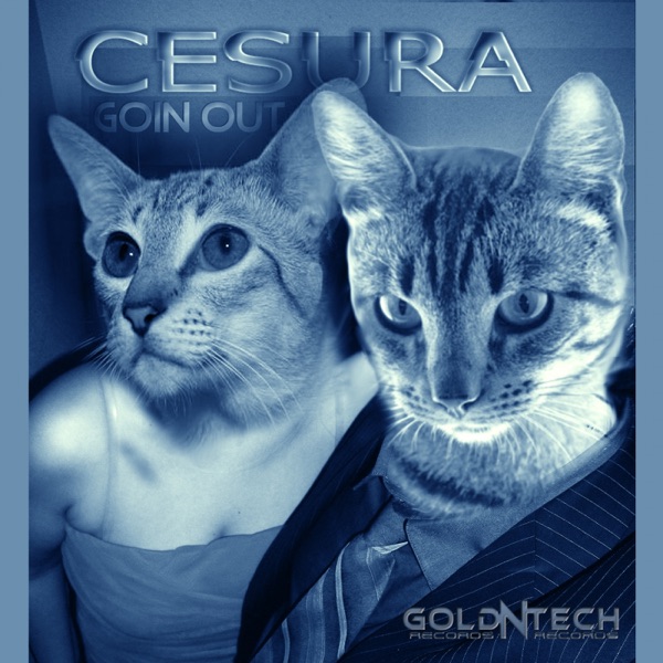 Goin Out - Single