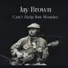 Jay Brown - Troublesome Times