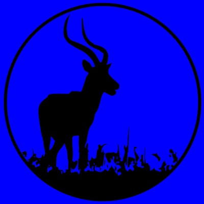 Dim the Lights - Single