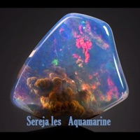Sereja Les (Aquamarine) - Single - 35palata