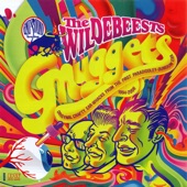 The Wildebeests - Public Image