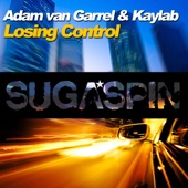 Losing Control artwork