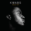 Perfect Ruin by Kwabs iTunes Track 1