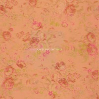 Don't Say Nuthin - Single - yunis