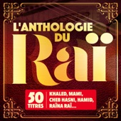 L'anthologie du Raï (50 titres) artwork