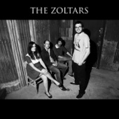 The Zoltars - We Missed Out