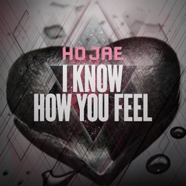 I Know How You Feel HOJAE