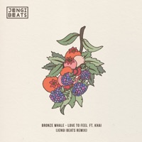 Love to Feel ft. Khai - Single - Bronze Whale