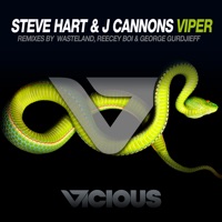 Viper - EP - Steve Hart & J Cannons
