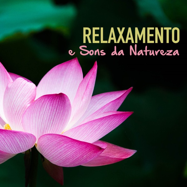 Relaxamento e Sons da Natureza - Musicas para uma Melhor Meditação, Completa Tranquilidade e Sono Profundo Reparador