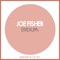 Iridium - Joe Fisher lyrics