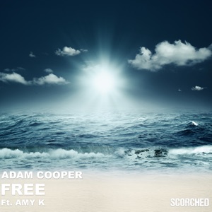 Free (feat. Amy K) - Single