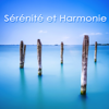 Reiki (Les Chakras) - Sérénité Musique Spa