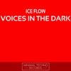 Voices In the Dark - EP artwork