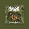 Black Spiders