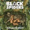 Blood of the Kings - Black Spiders lyrics