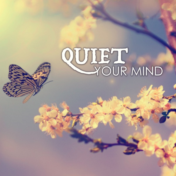 Quiet Your Mind