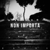 Non Importa - Single