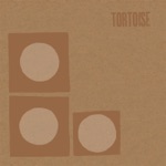 Tortoise - Spiderwebbed