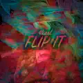Flip It (Technoposse Remix)