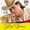 Ángel Guaraca, Vol. 10