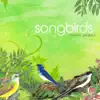 Nature Project - Gorjeios