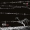 Cellule 7 - Mallory lyrics
