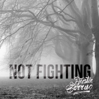 Not Fighting - Single - Justin Serrao