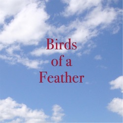 Birds of a Feather - Waiting