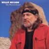 Willie Nelson - Living in the Promiseland