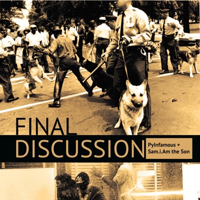 Final Discussion