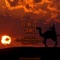 Camel - B.W.D. lyrics