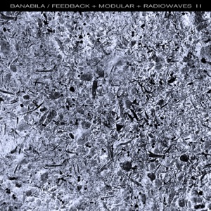 Feedback + Modular + Radiowaves II