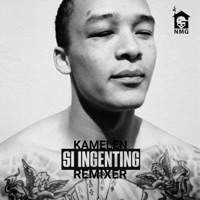 Si Ingenting Stavanger (feat. Bvis, Tony Pepa, Jean Alvarado & Adrian Wright) - Single - Kamelen