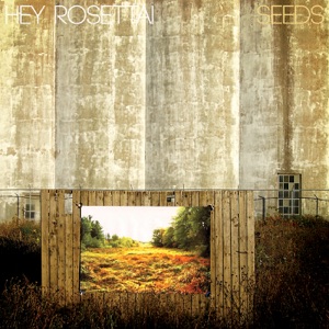 Chord Gitar Young Glass - Hey Rosetta
