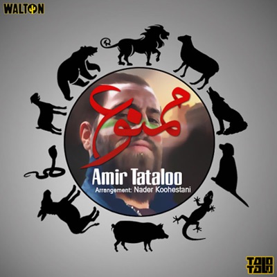 Mamnoo - Single