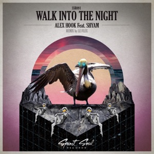 Walk Into the Night (feat. Shyam P) - Single